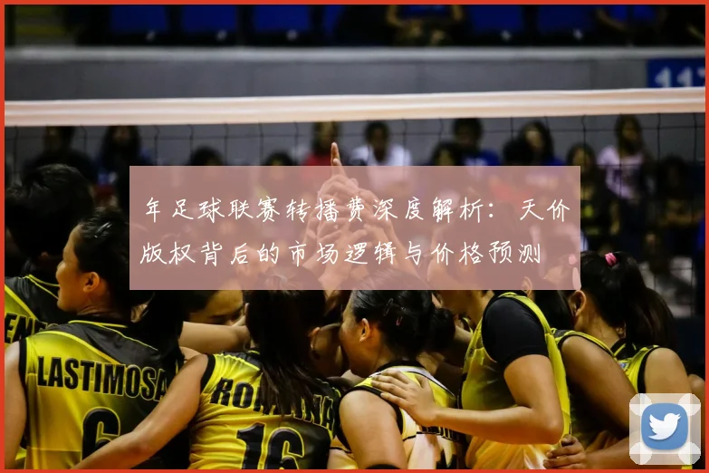 年足球联赛转播费深度解析：天价版权背后的市场逻辑与价格预测